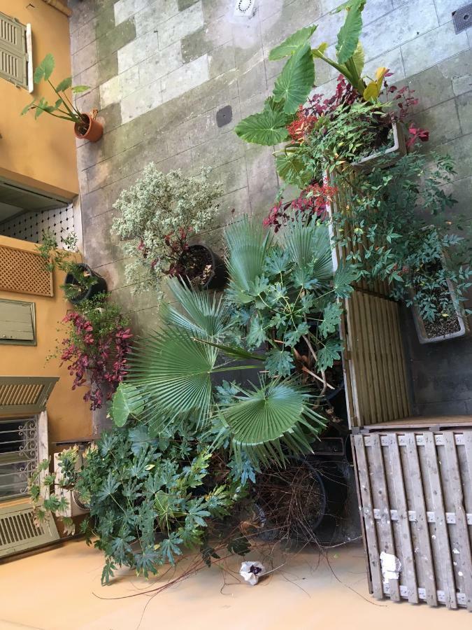 Heart Of Nice Harboor Cosy And Central Екстериор снимка